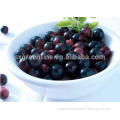 100%Natural Plant Extract/Acai Berry Extrat Powder